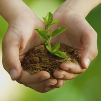 Декларация о плате за НВОС